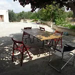 Fra Il Glicine E Il Sambuco