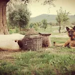 Gio Horses B&B