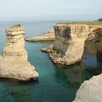 Pajara Rugiada