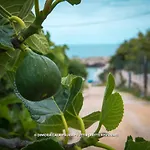 Dimora Cala Paura