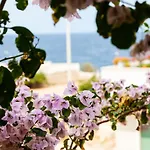 Lumi B&B Pets And Planet Friendly