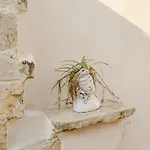 Casa Di Maya
