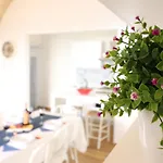 Historic Apartment In Centre With Terrace, Wi-Fi & Air Conditioning; Pets