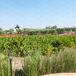 Helloapulia Trullo Di Bacco