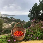 La Terrazza On Acquaviva