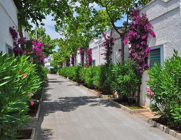 Hotel Oasi Le Dune 4*