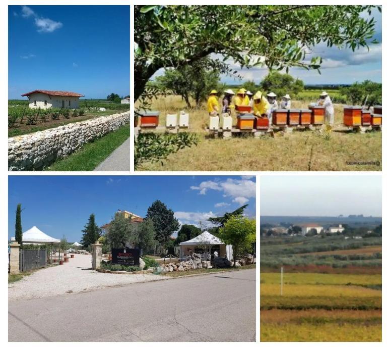 Campsite Biobonizio Pierluigi