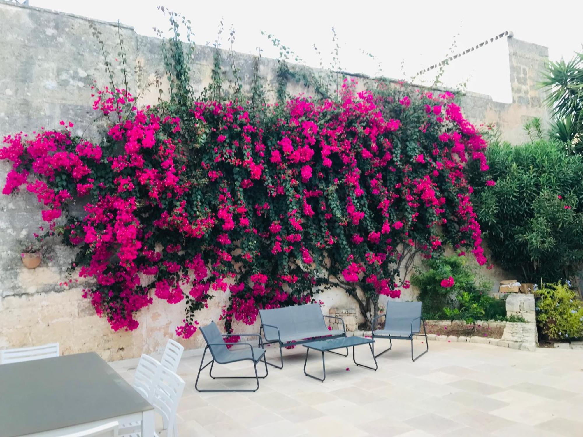 Holiday home Salento - Casa Pietrastella Presicce