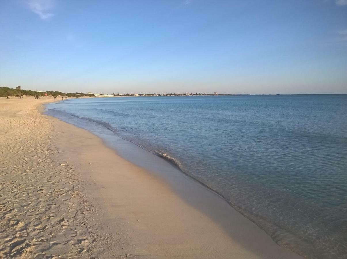 Alma Salento Carmiano (Apulia)