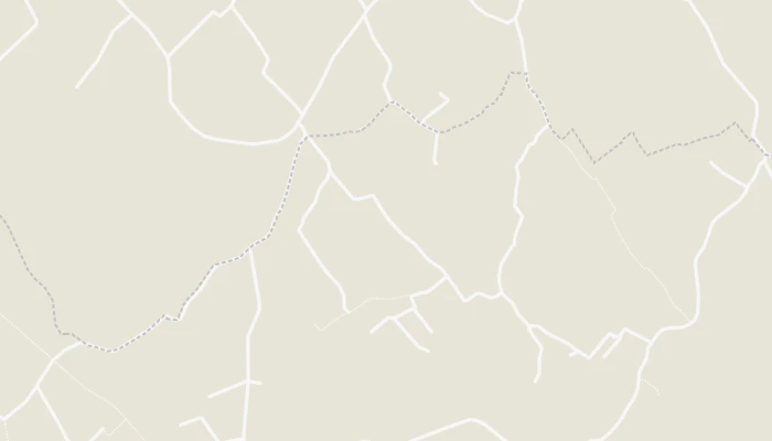 地图