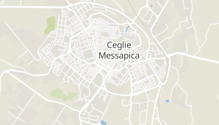 Térkép