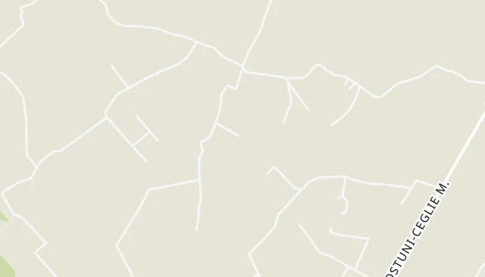 地图